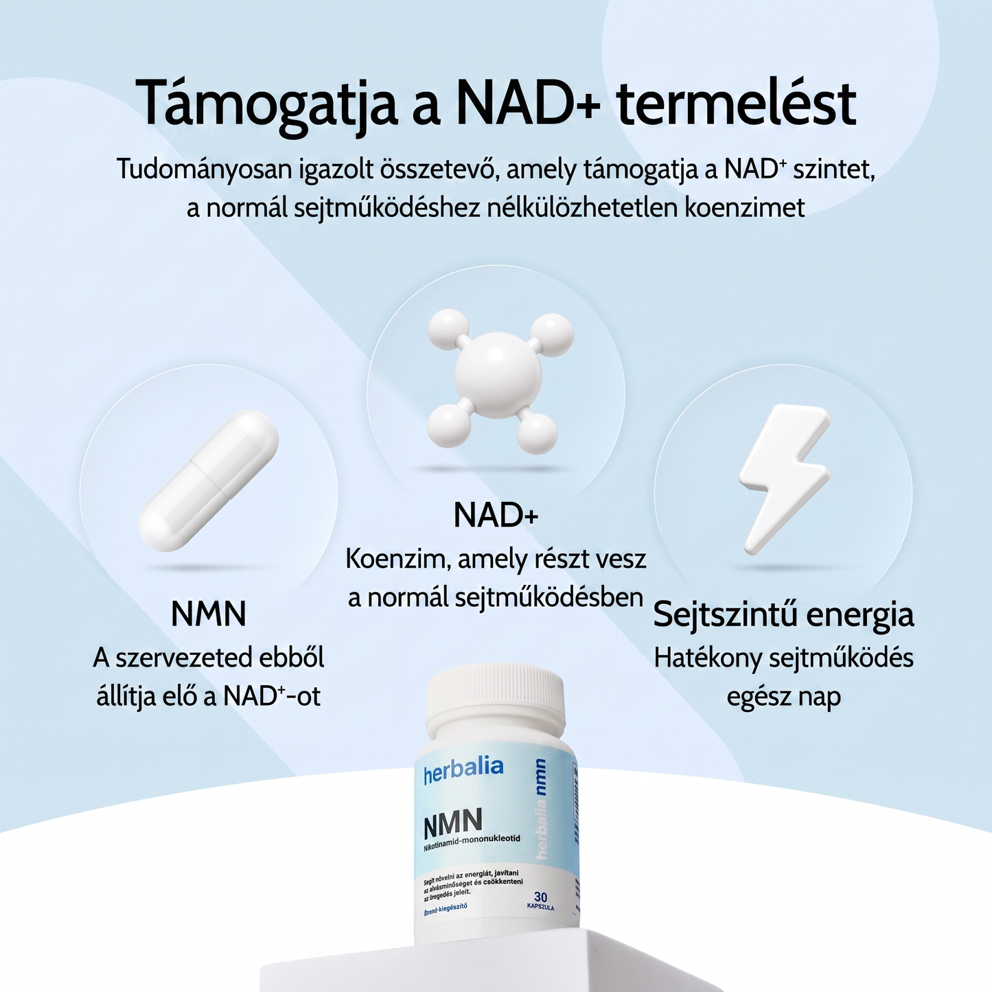 Pure NMN | 500mg Capsules