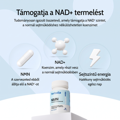 Pure NMN | 500mg Capsules